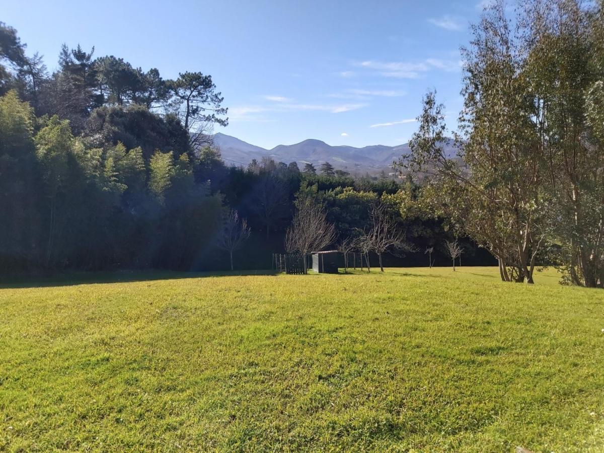 Appartement 3*** Avec Jardin Et Wifi A Proximite De Saint Jean De Luz - Fr-1-239-504 Ascain Exteriér fotografie